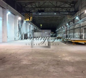 The ware house for rent, there are two bridge cranes of 10 tons&nbsp; ...