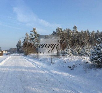 For sale a land plot with a forest
