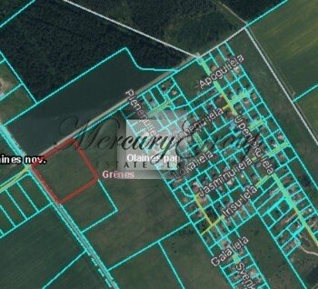 A land plot in Olaine district for sale!