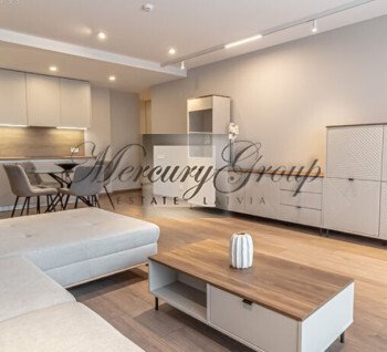 Rental of a one bedroom apartment in the new Panorama Plaza project