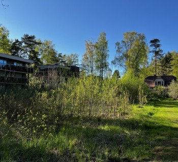 Land plot in Jurmala for sale!