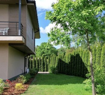 3-level house for rent