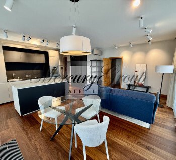 Amazing Penthaus with huge Terrace in the heart of Riga for rent
