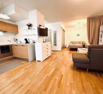 Elegant Apartment for Long-Term Rent in the Heart of Riga's Quiet Centre