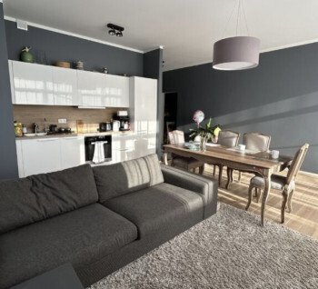 Spacious and Sunny Apartment with a Large Terrace and Private Lawn