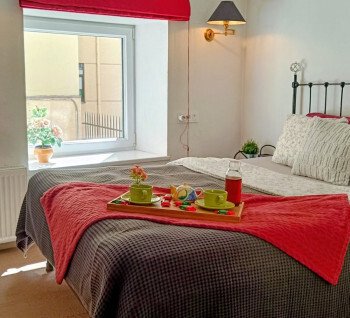 For rent an exclusive two-bedroom apartment in loft style, in a renovated house in the center of the city!