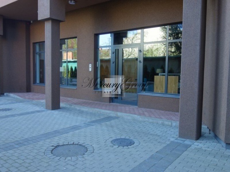 Park Alley - modern project near the park. Nr. 3